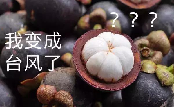 臺風(fēng)山竹